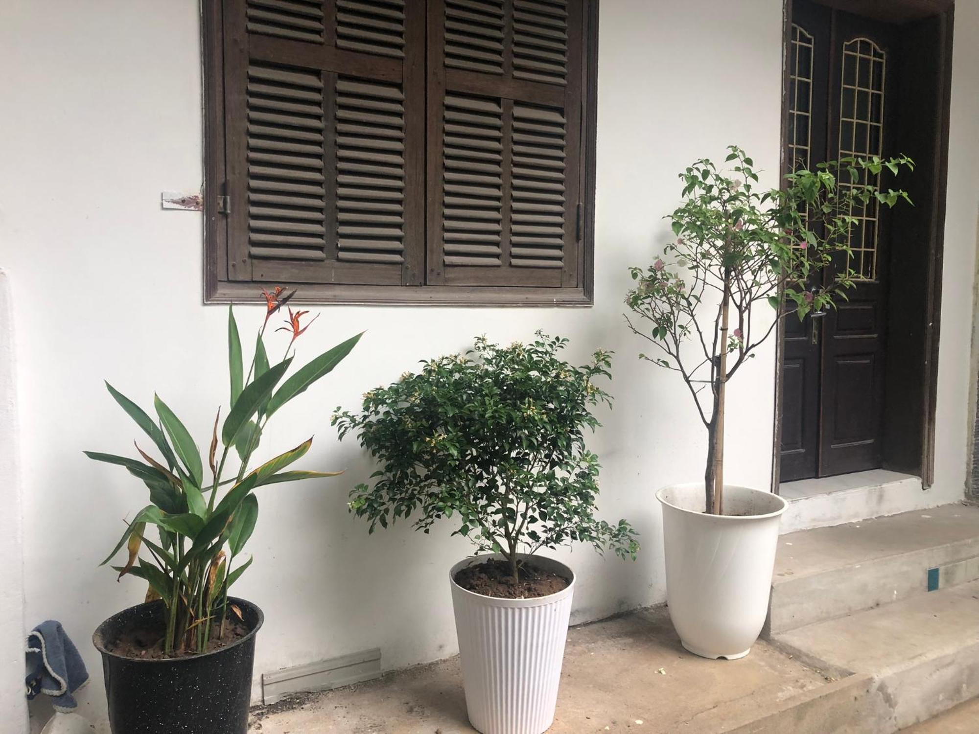 Ở trọ Serenity 1 *